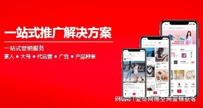 专业网站排名优化公司